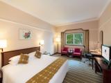 Standard Double room with garden view