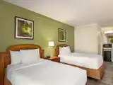 Mobility Accessible Roll-In Shower Quadruple room