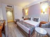 Standard Triple room with land view
