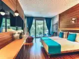 Deluxe Standard Twin room