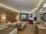 Standard Triple room with land view
