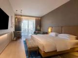 Deluxe Double room with pool view