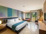 Premium Double room with balcony and with pool view