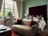 House Double Junior Suite