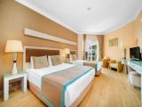 Standard Triple room with land view