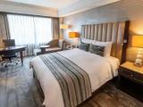 Double Junior Suite