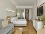 The Level Double Junior Suite with ocean view