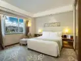 Premium Double room with city view