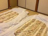Shuusui/Baikyou with Hot Spring Bath (Annex) room
