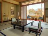 Standard Japanese-Style room