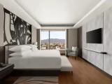 1 Bedroom Diplomatic Club Lounge Access Double Suite Mountain View
