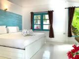 Deluxe Garden Double Villa