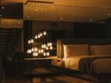 WOW Suite