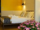 Superior Disability Access Double room with Patio