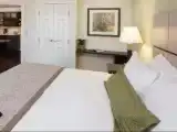 Standard Single Suite