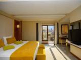 Executive Double Suite
