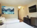 Guest (Annex Building) room