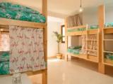 Bed in Dorm
