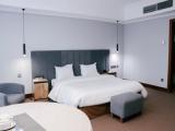 Standard Double room with Baiterek view