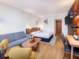 Business Plus room