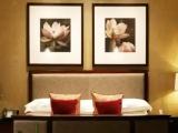 Deluxe Double Suite