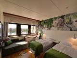 Standard Quadruple Family room