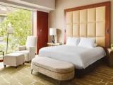 Ambassador Double Suite