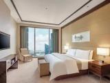 1 Bedroom Club Lounge Access Double Junior Suite