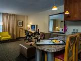 Accessible Double Studio Suite