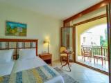 Standard Double room with pool view