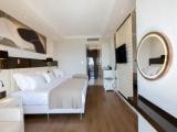 Deluxe Standard Double room