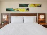 1 Bedroom Double Suite with city view