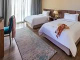 Superior Double Suite