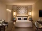 Deluxe Double room with garden view