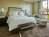 1 Bedroom Georgetown Accessible Double Suite