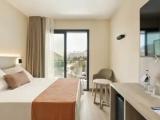 Standard Double room with pool view