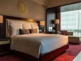 Large Club Lounge Access Double Suite
