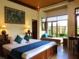 Deluxe Garden Double room
