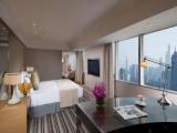 Executive Villar Double Suite with city view