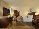 Classic Alpine Double room with mountain view