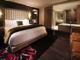 Rock Star Platinum Double Suite
