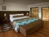 Executive Double Suite