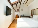 Skylight Double room