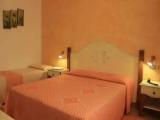Butterfly Double room
