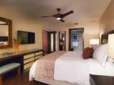 1 Bedroom Double Suite with mountain view