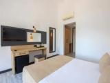 Standard Triple room with land view