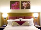 Accessible Double room