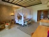 Deluxe Garden Side Double room with partial ocean view