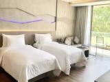 Premier Comfy Double room