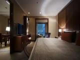 Governor Double Suite